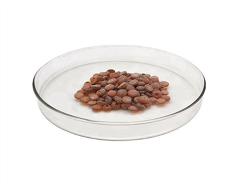 Exportación Bolivia Antioxidante Tmq (rd) Inhibidor de oxidación