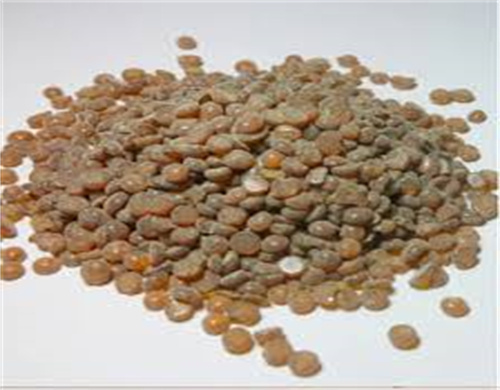 Excelente precio antioxidante cali 6ppd
