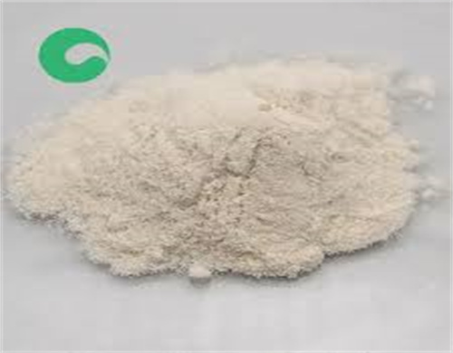 Precio competitivo Uruguay CAS 95-33-0 Acelerador químico CBS
